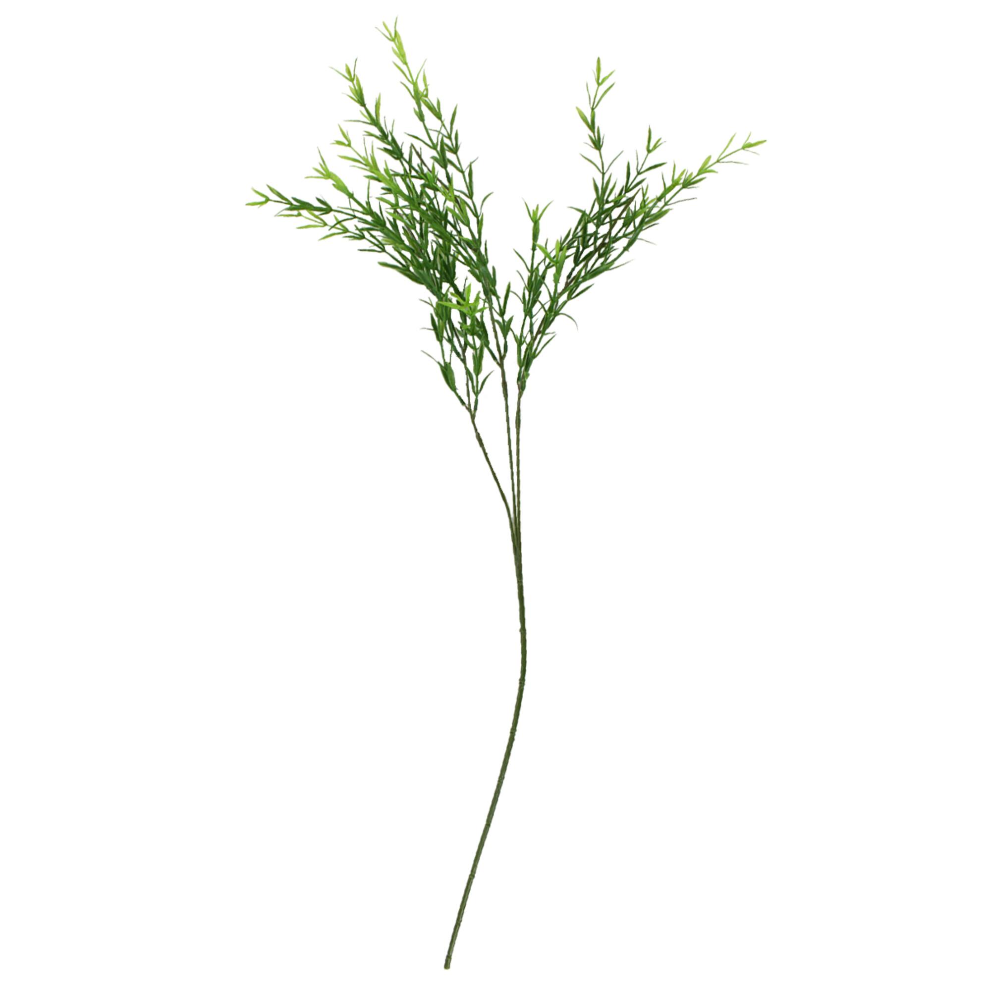 Green Trailing Grass Spray by Ashland®